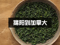 揭阳怎么寄茶叶到加拿大？时效快吗？货物安全吗？