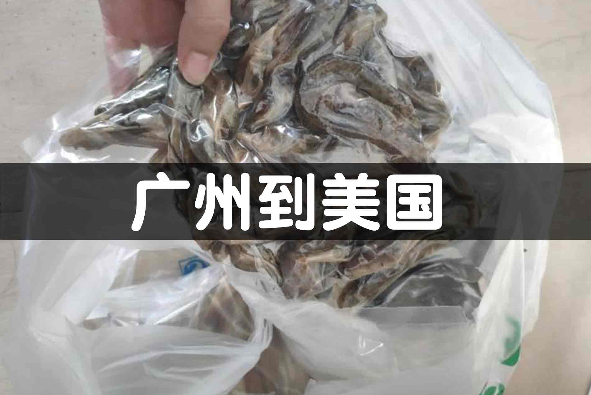 肉类零食美国EMS运输案例:食品跨境安全通关，美味直达无忧--茂荣国际物流www.mrex.cc